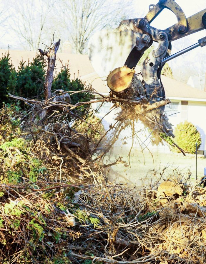 land-clearing-64-scaled