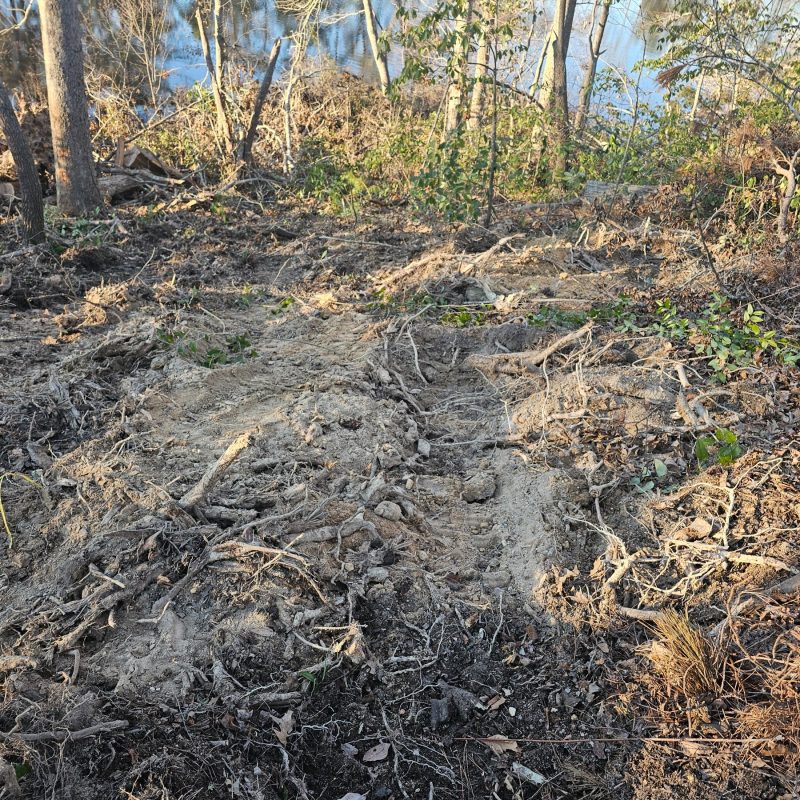 vitae-land-clearing-032